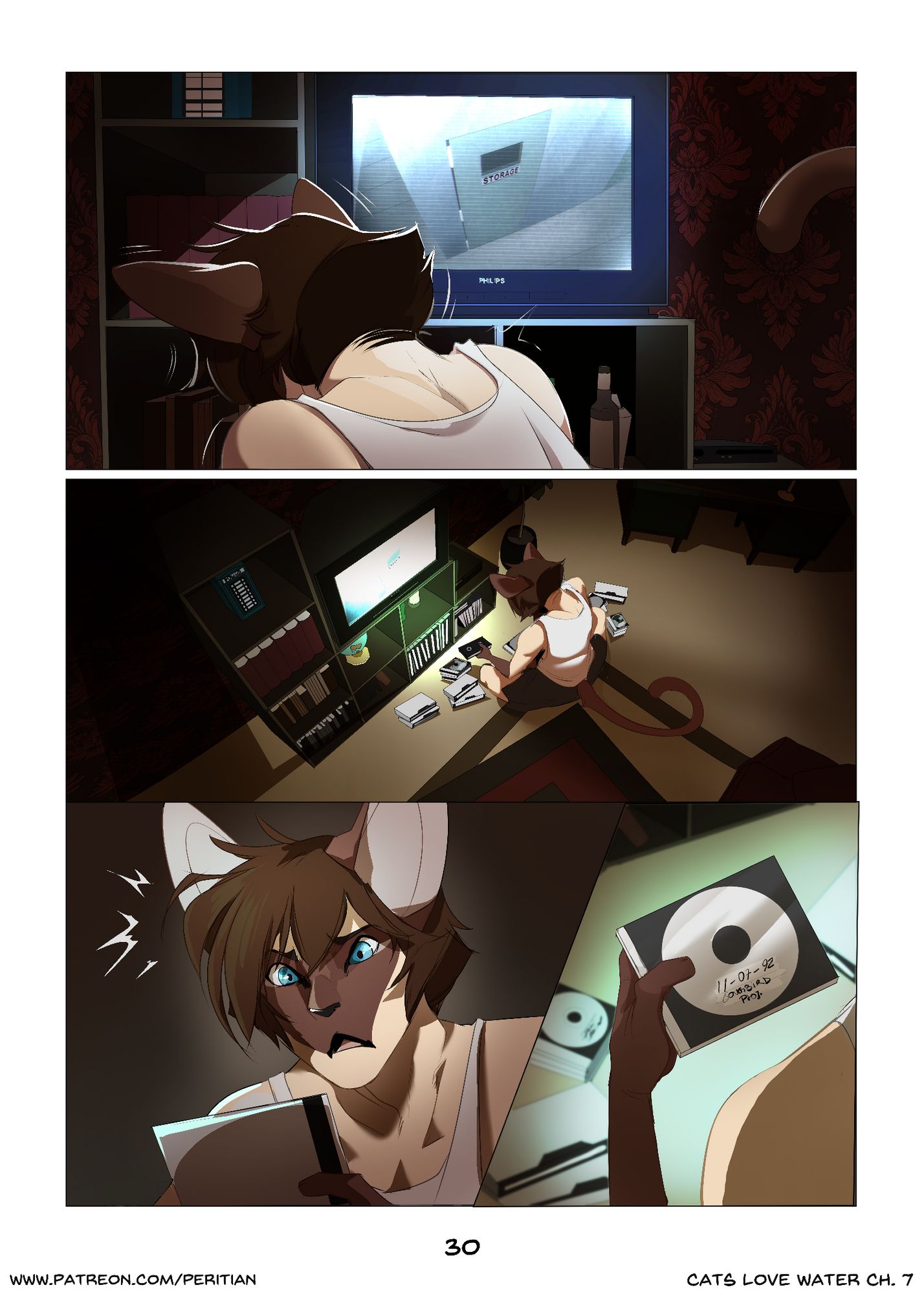 Page 31
